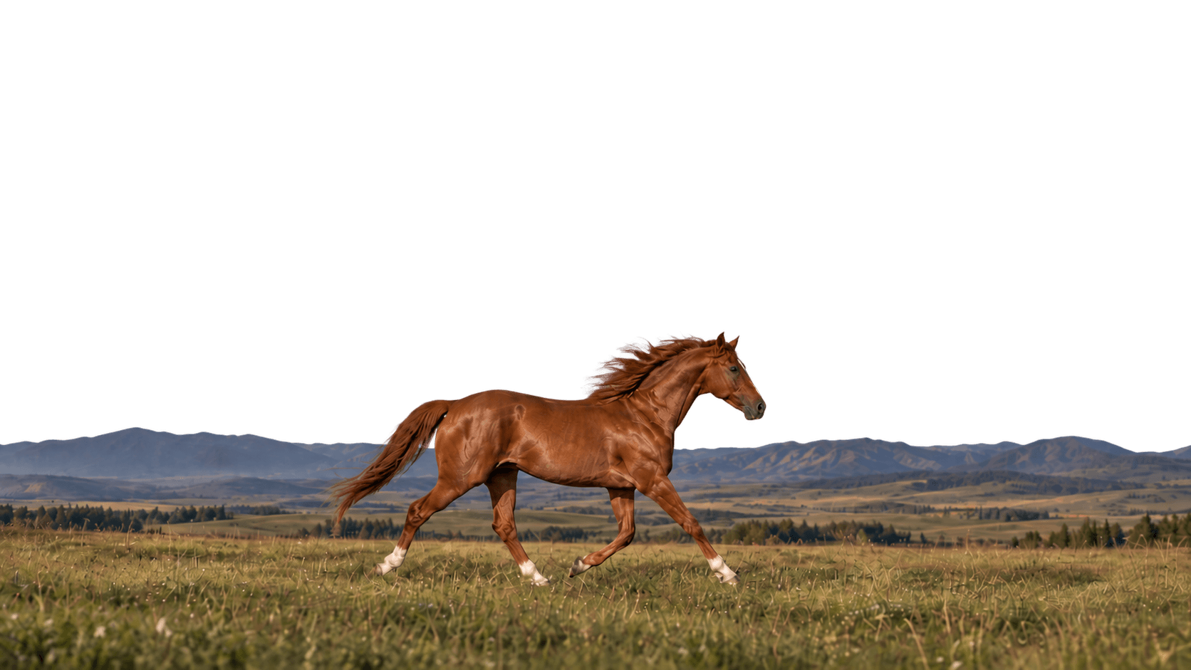 A chestnut horse running across a meadow, with diamond steam trails rising toward the upper left.